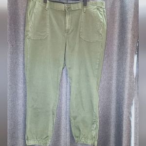 Torrid joggers size 20